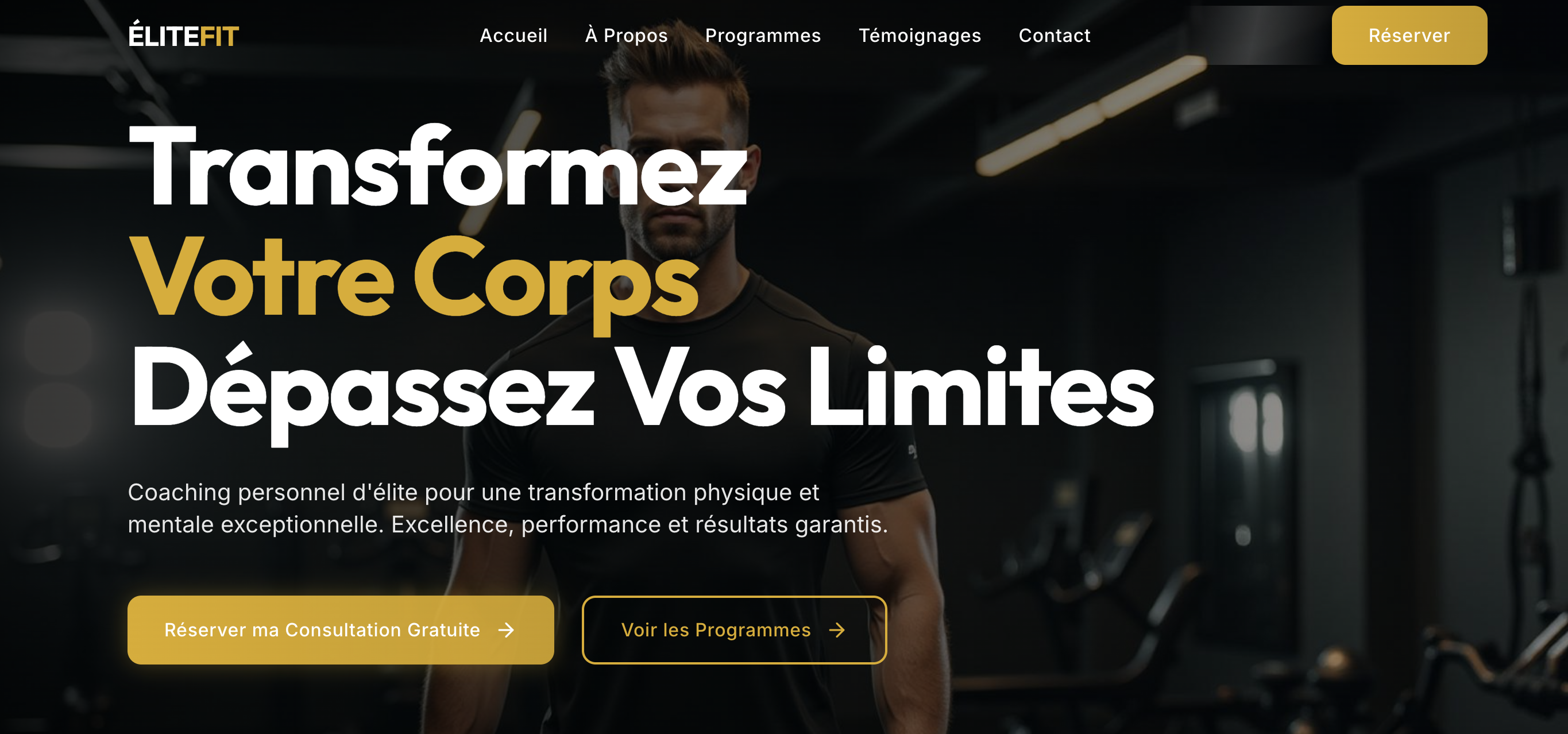 Site web coaching professionnel - Exemple de réalisation 1jour1site